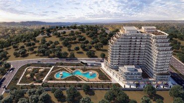 Panorama Flamingo