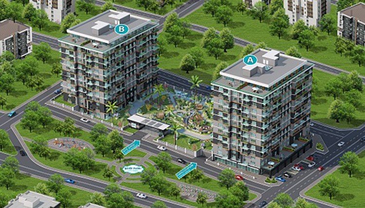 212 Sea Palm