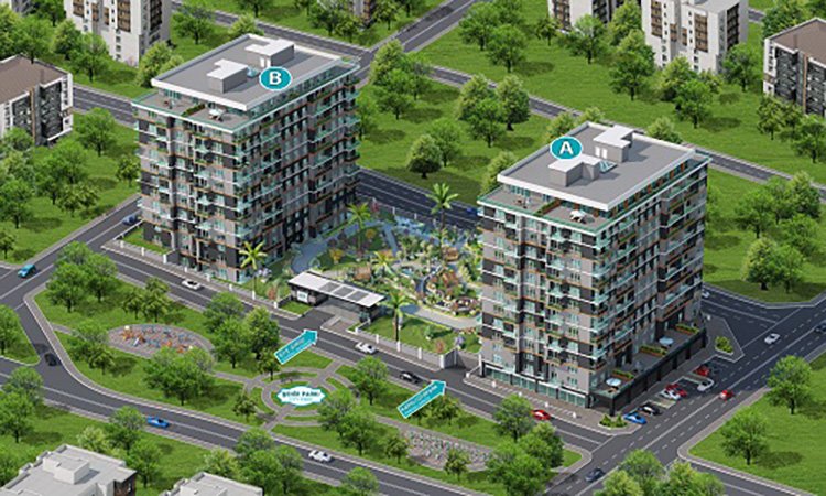 212 Sea Palm
